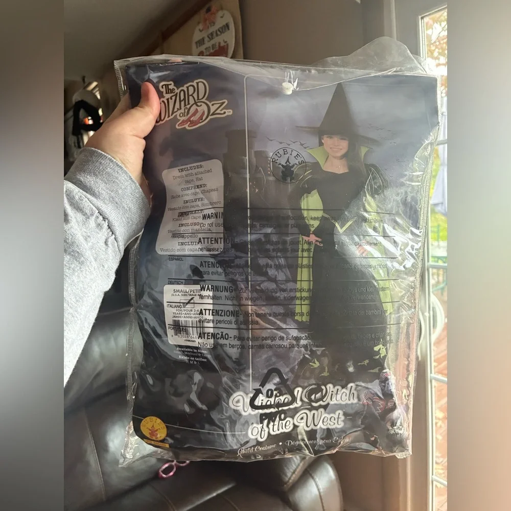 Wicked Witch Costume